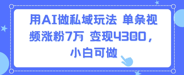 用AI做私域玩法，单条视频涨粉7W变现4.3k，小白可做-星辰云网创