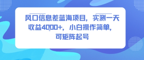 风口信息差蓝海项目，实测一天收益4k+，小白操作简单，可矩阵起号-苏宇网创