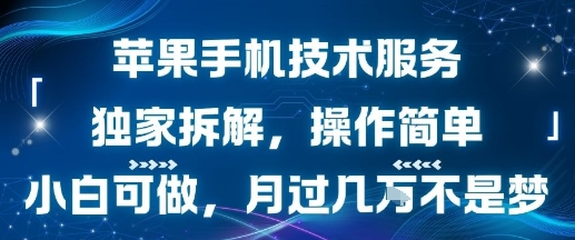 苹果手机技术服务，独家拆解，操作简单，小白可做，月过1W不是梦-星辰云网创