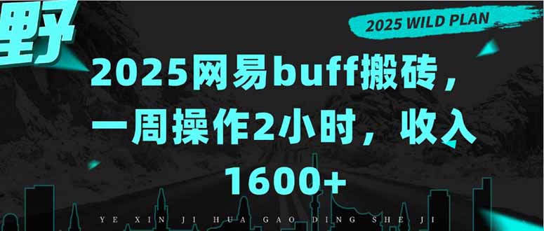 2025网易buff搬砖，一周操作2小时，收入1600+-蓝天网创