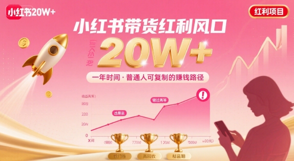 一年时间靠小红书带货项目年入20w+，最不能错的大红利项目-零氪云网创