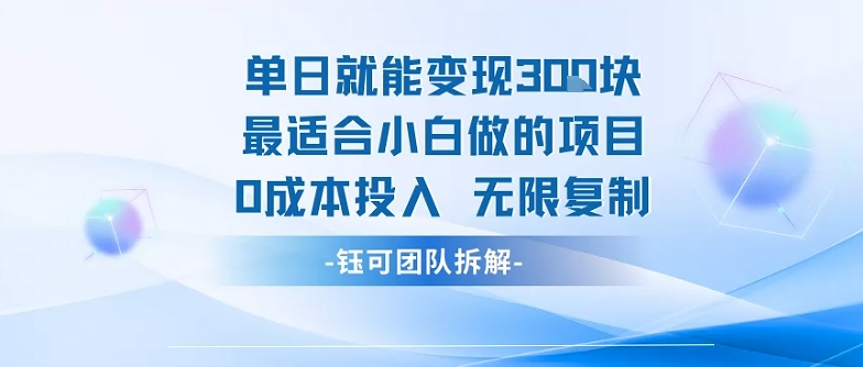 单日就能变现3张最适合小白做的项目0成本投入 无限复制-零氪云网创