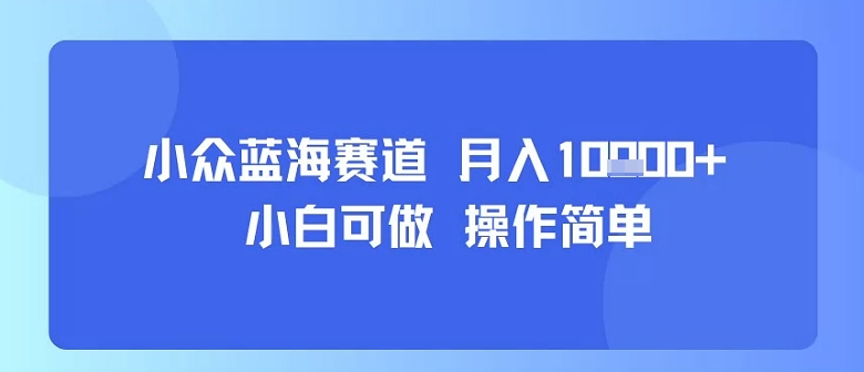 小众蓝海赛道，小白可做，操作简单，每天30分钟，月入1W+-网创圈99
