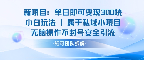 新项目单日即可变现3张的小白玩法无脑操作不封号安全引流-浩然网创
