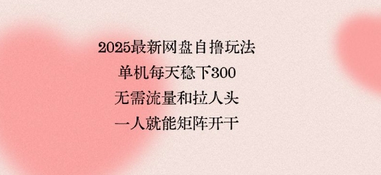 2025最新网盘自撸玩法，单机每天稳下3张，无需流量和拉人头，一个人就可轻松矩阵，全网独一份【揭秘】-云网创