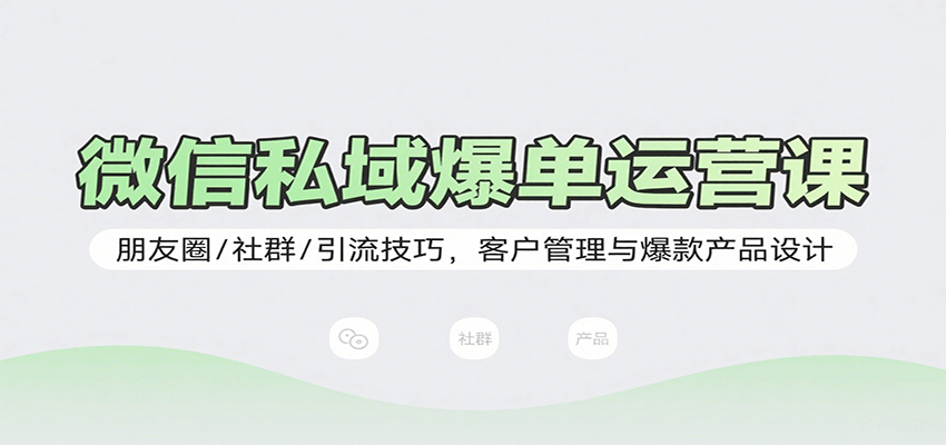微信私域爆单运营课：朋友圈/社群/引流技巧，客户管理与爆款产品设计-清枫云网创