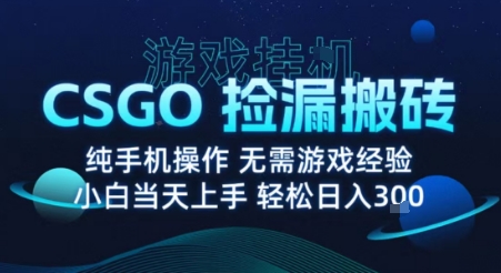 8月最新游戏搬砖，CSGO纯挂G，不需要玩游戏，实现真挂G，月入1W+【揭秘】-易创网