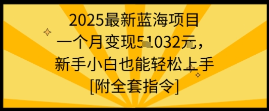 2025最新蓝海项目一个月变现1w+新手小白也能轻松上手【附全套指令】-清枫云网创