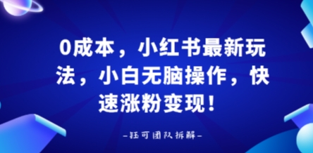 0成本，小红书最新玩法，小白无脑操作，快速涨粉变现-Mot云网创