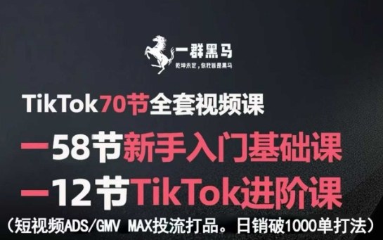 TikTok全套视频课，新手入门+进阶课，短视频ADS-GMV MAX投流打品，日销破1000单打法-Share4Future网创