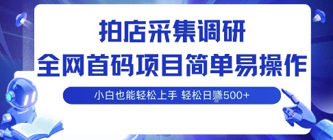 拍店采集调研，全网首码项目，简单易操作， 小白也能轻松上手，多账号操作，轻松日入5张【揭秘】-云网创