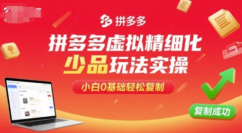 拼多多虚拟精细化少品玩法实操，小白0基础轻松复制-爱墨客创业分享