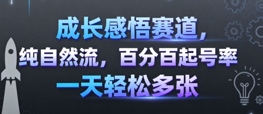 成长感悟赛道，纯自然流，百分百起号率 一天轻松多张-新视界