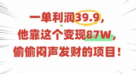 一单利润39.9，有人靠这个变现几十个，偷偷闷声发财的项目-网创前栈