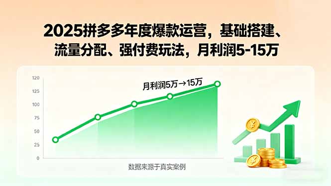 2025拼多多年度爆款运营，基础搭建、流量分配、强付费玩法，月利润5-15万-云网创