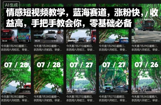情感短视频教学，蓝海赛道，涨粉快，收益高，手把手教会你，零基础必备-优优云网创