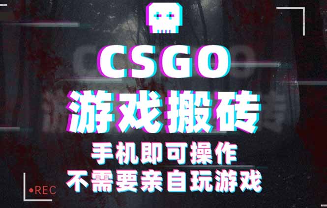 CSGO游戏挂机捡漏，单日扫货500+，年底小高峰上车可吃肉，手机即可操作…-小小资源网