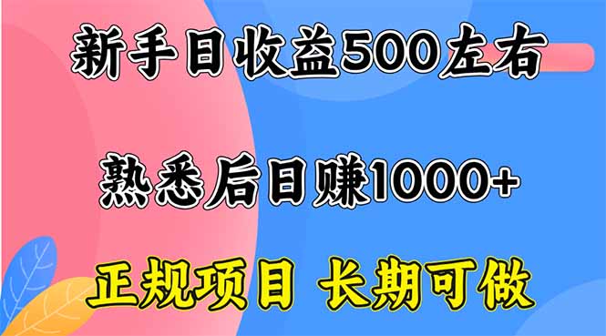 新手日收益500+ 正规项目 长期可做-优优云网创资源网