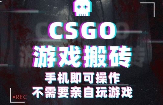 CSGO游戏挂G捡漏，单日扫货5张+，年底小高峰上车可吃肉，手机即可操作，兼职副业创业网创【揭秘】-赋智工坊