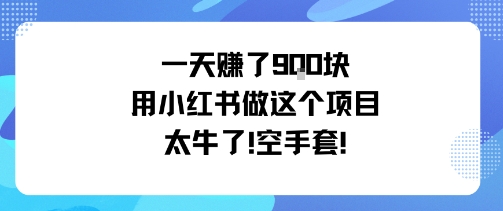 一天挣了9张用小红书做这个项目太牛了，空手套-优优云网创资源网