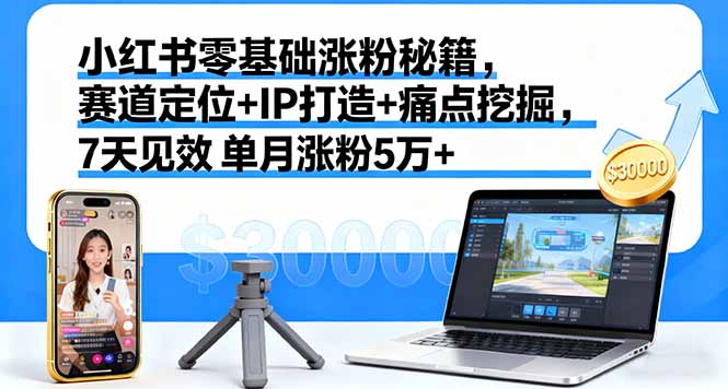 小红书零基础涨粉秘籍，赛道定位+IP打造+痛点挖掘，7天见效 单月涨粉5万+-云网创