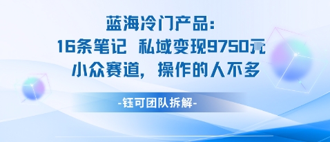 蓝海项目：16条笔记私域变现9750米小众赛道操作的人不多-初初云网创