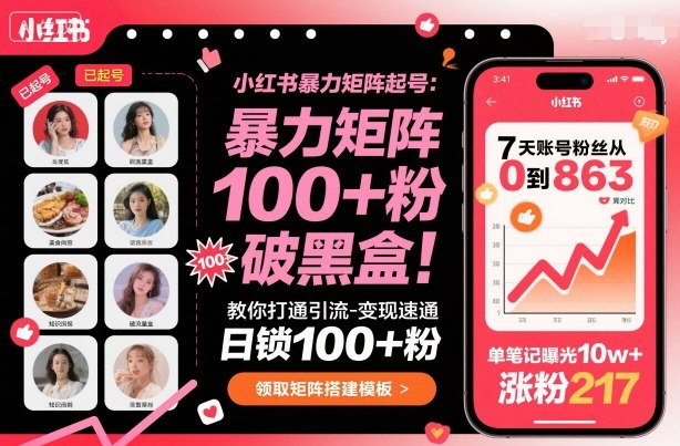 小红书暴力矩阵起号，教你打通引流-变现速通，日锁100+粉，破流量黑盒-网创宝