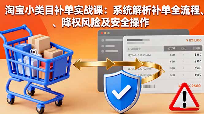 淘宝小类目补单实战课：系统解析补单全流程、降权风险及安全操作-共赢云网创
