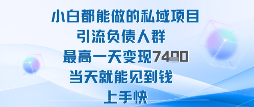 2025年小白都能做的私域项目引流负债人群最高一天变现1k+高变现难度低当天就能见到钱上手快-仰望云网创