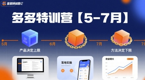 多多特训营，产品决定上限，方法决定下限，各种玩法技巧落地实操(更新)-E源网