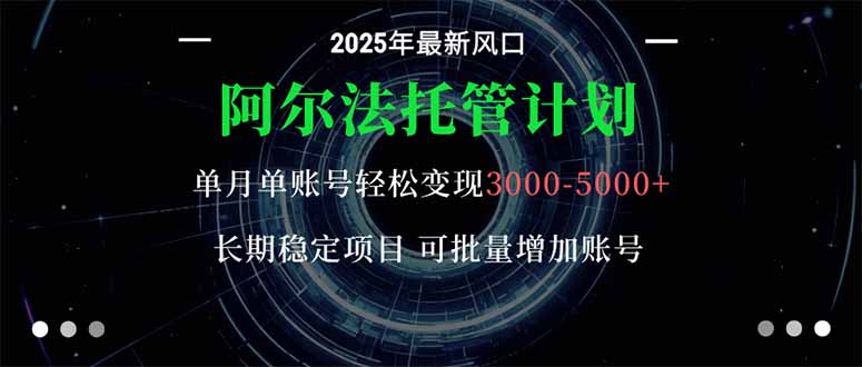 阿尔法托管计划 单账号月入3000-5000，长期稳定项目，新手小白轻松上手。-青年云网创