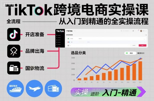 TikTok跨境电商实操课，从入门到精通的全实操流程-大柠檬网创