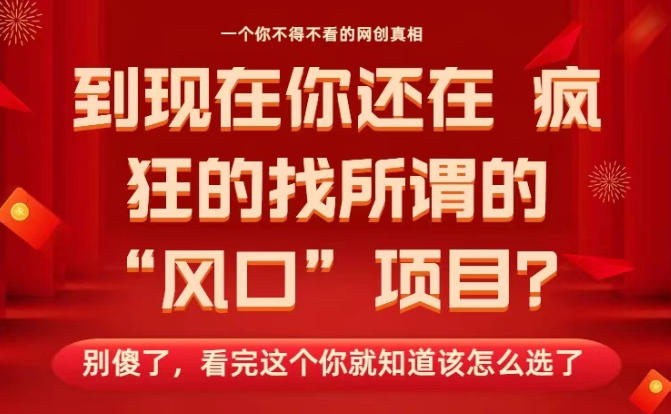 马上26年了，你还在找所谓的风口项目？别傻了，看完这个你全都懂了！【揭秘】 | 领先副业网