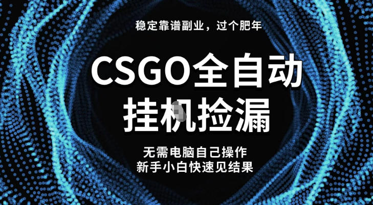 【稳定副业】全球最热门游戏CSGO全自动捡漏，最新玩法，新手小白日入5张+【揭秘】-518网创