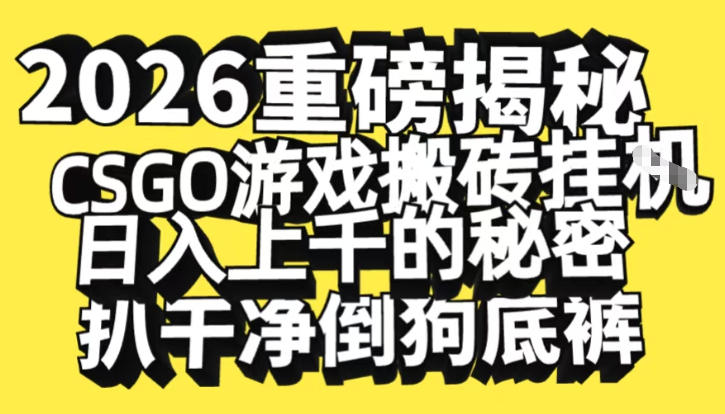 2026开年重磅解密，CSGO游戏搬砖挂G日入1k+的秘密，把倒狗的底裤扒干【揭秘】-云网创