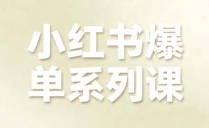 小红书爆单系列课，聚焦小红书电商全链路增长(更新)-飞盾网创