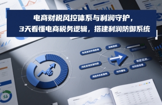 电商财税风控体系与利润守护，3天看懂电商税务逻辑，搭建利润防御系统-参一网创