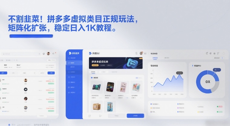 不割韭菜！拼多多虚拟类目正规玩法，矩阵化扩张，稳定日入1K教程【揭秘】-大胖云网创