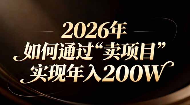 站在2026年的十字路口：一个普通人如何通过卖项目实现年入200万-优优云网创