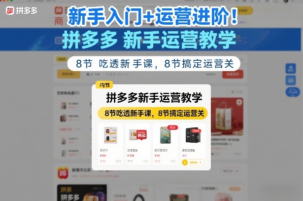 新手入门+运营进阶！拼多多新手运营教学，8节吃透新手课，8节搞定运营关-拾贝小站