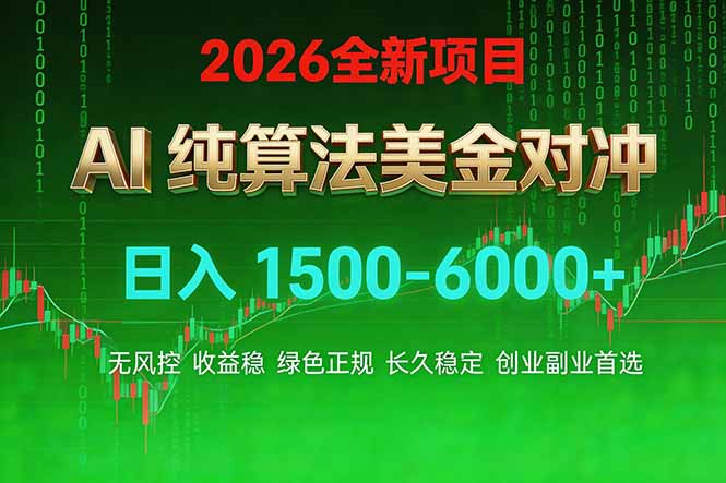 2026 全新美金对冲项目，不套平台赠金，不封号，纯算法对冲，日入 1500-6000+-叶尘网络
