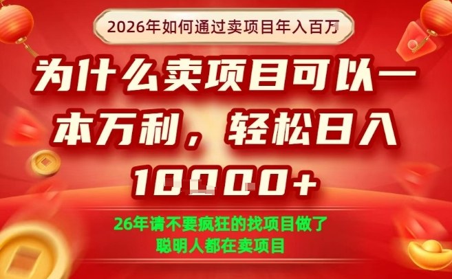 一单净利润1K+，26年想年入100个W，死磕卖项目就够了【揭秘】-匠心云网创