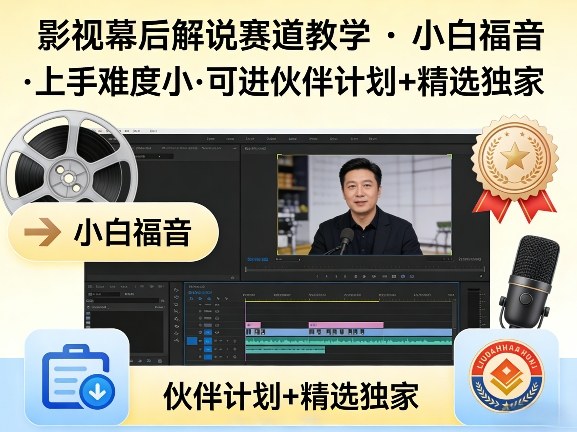 某大佬的影视幕后解说赛道教学，小白福音，上手难度小，可进伙伴计划+精选独家-云网创