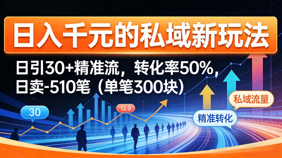 日入千米的私域新玩法：日引30＋精准流，转化率50%，日卖5-10笔(单笔300米)-云网创