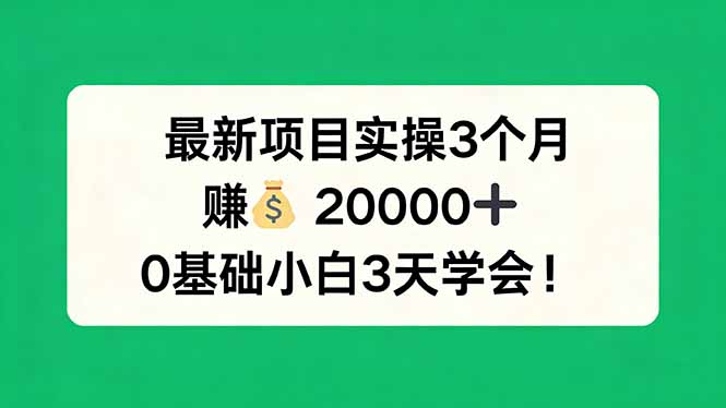 最新项目实操3个月，赚钱20000+，0基础小白3天学会！-浩然网创