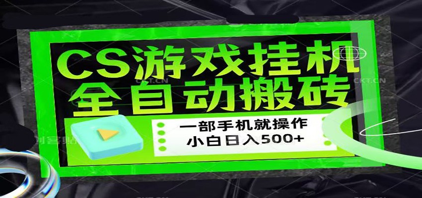 CSGO游戏挂机捡漏搬砖，超稳定的项目，带领1000+小白实现日入500+-云网创