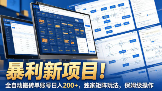 暴利新项目！全自动搬砖单账号日入200+，独家矩阵玩法，保姆级操作【揭秘】-歪歪云网创