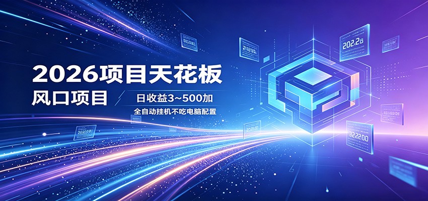 2026项目天花板，风口项目，日收益3~500+全自动挂机，不吃配置-岚风/云网创