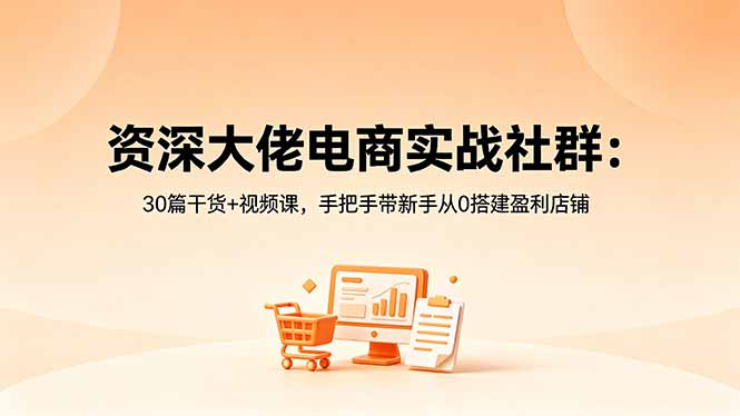 资深大佬电商实战社群：30篇干货+视频课，手把手带新手从0搭建盈利店铺-云网创