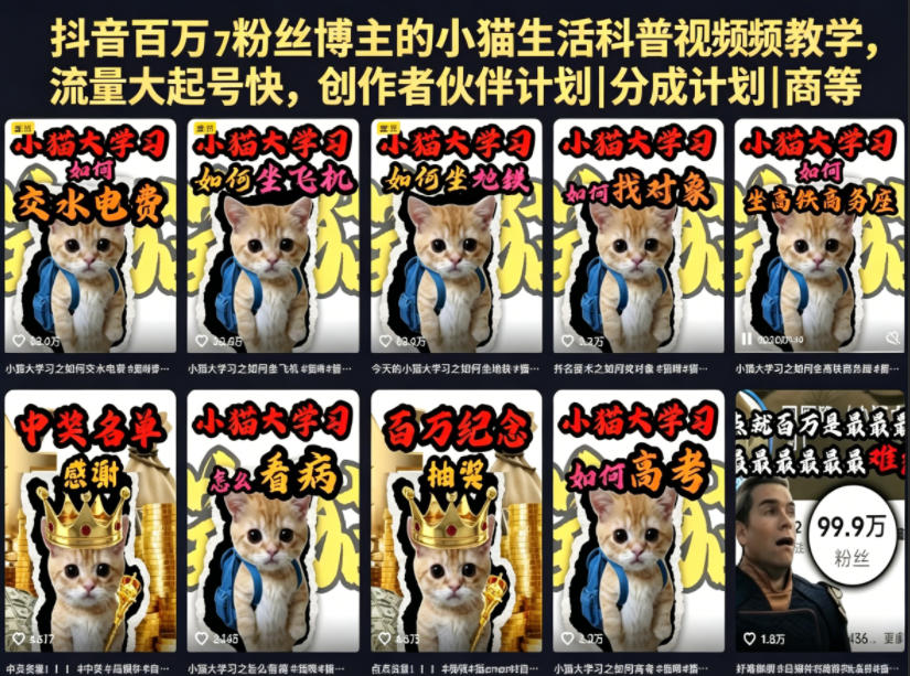 抖音百万粉丝博主的小猫生活科普视频教学，流量大起号快，创作者伙伴计划|分成计划|商单|收徒等-优优云网创